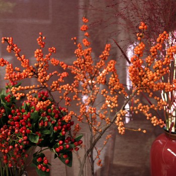 Ilex Zweige