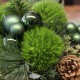 Strauß Green Christmas