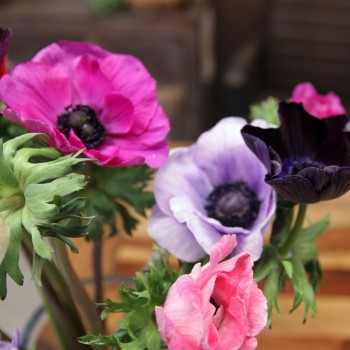 Bunter Anemonenstrauß