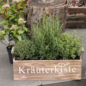 Kräuterkiste