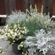 Herbst Mix cool white