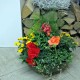 Pflanzschale Sommer