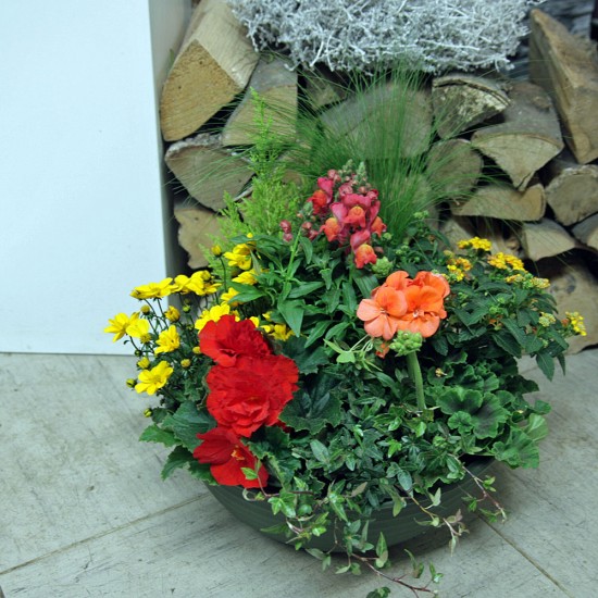 Pflanzschale Sommer