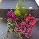 Pflanzschale Sommer