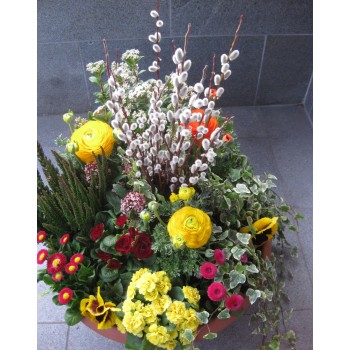 Pflanzschale Frühling