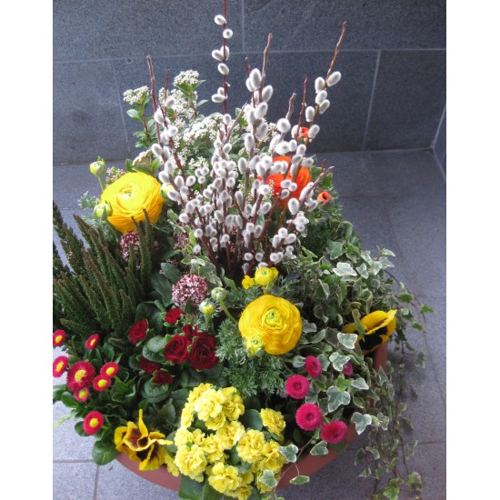 Pflanzschale Frühling