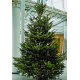 3,0 Meter Weihnachtsbaum 1A Premium-Qualität