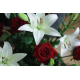 Red Roses & White Lilien